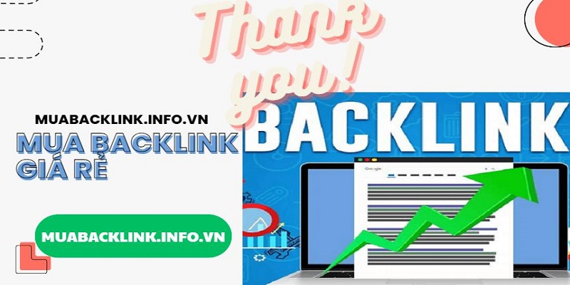 Dịch vụ backlink tay Dịch vụ backlink tay